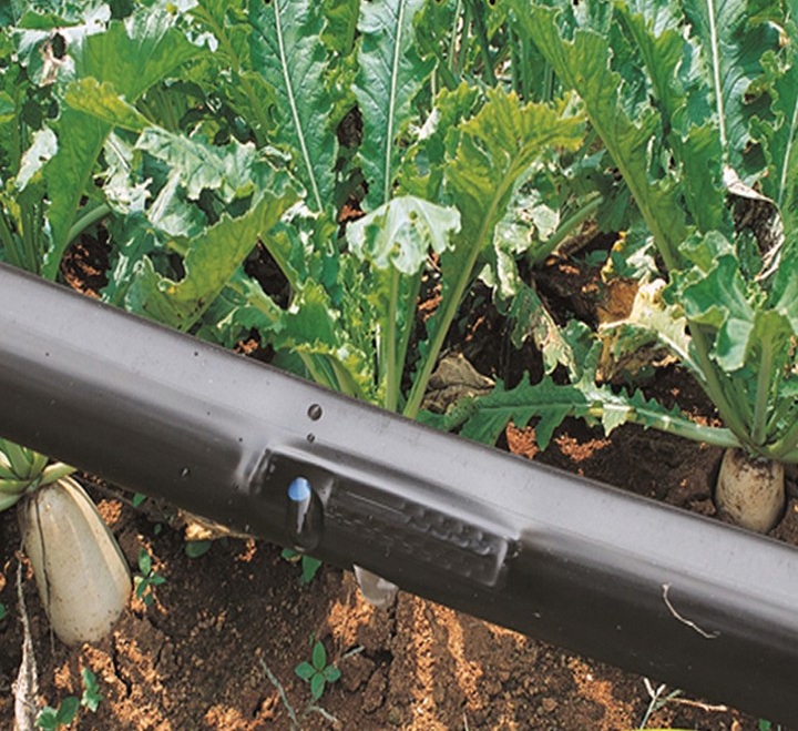 Dây tưới nhỏ giọt 16mm khoảng cách 30cm-cuộn 1000m