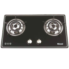 Bếp gas âm rinnai rvb-2bg