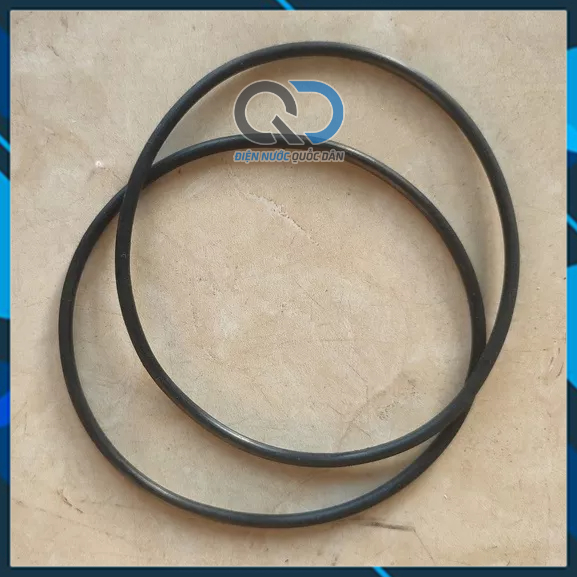 Zoăng - ron cao su cho cốc lọc 10 inch