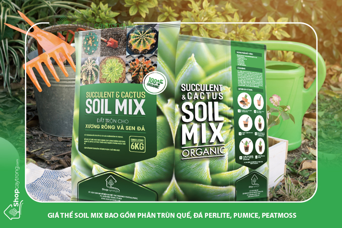 1 bịch 6kg, giá thể trồng sen đá, xương rồng soilmix, đất trộn sẵn