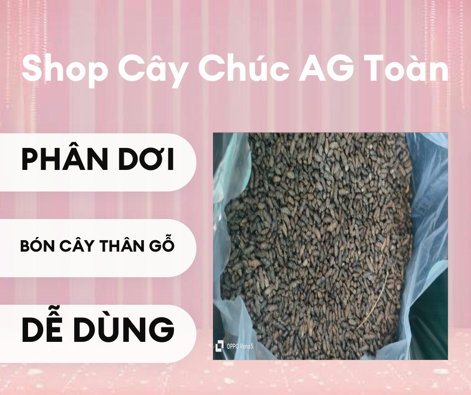Phân dơi nguyên thủy giá 50k, phân này cây Chúc cực kì khoái. Nửa kg