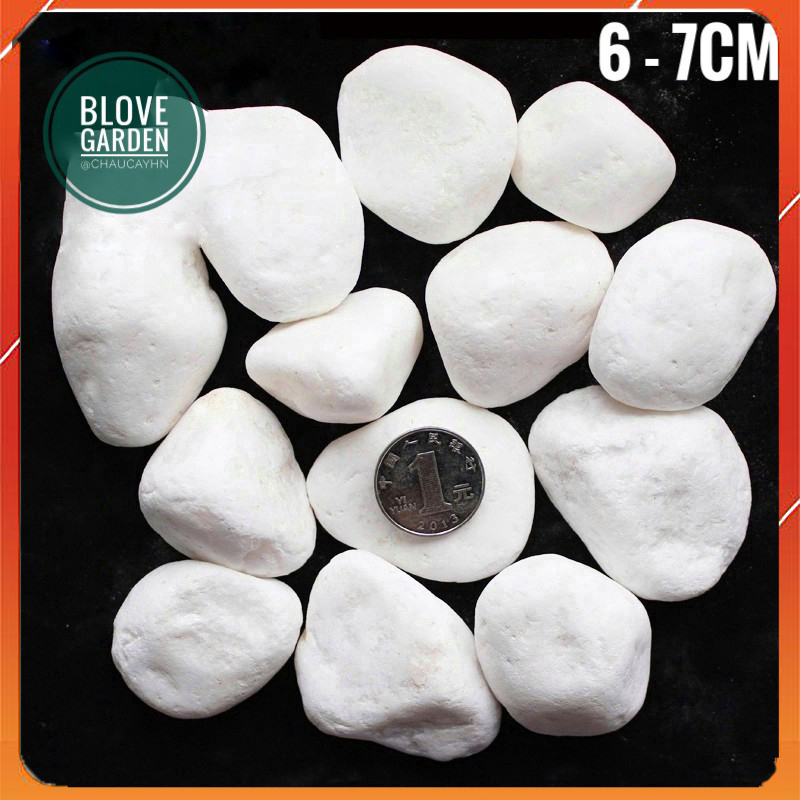 1kg Sỏi trắng to 6 - 7 cm trang trí sân vườn, trang trí thác áp tường hoặc ốp vào các vị trí thành hồ hòn non bộ