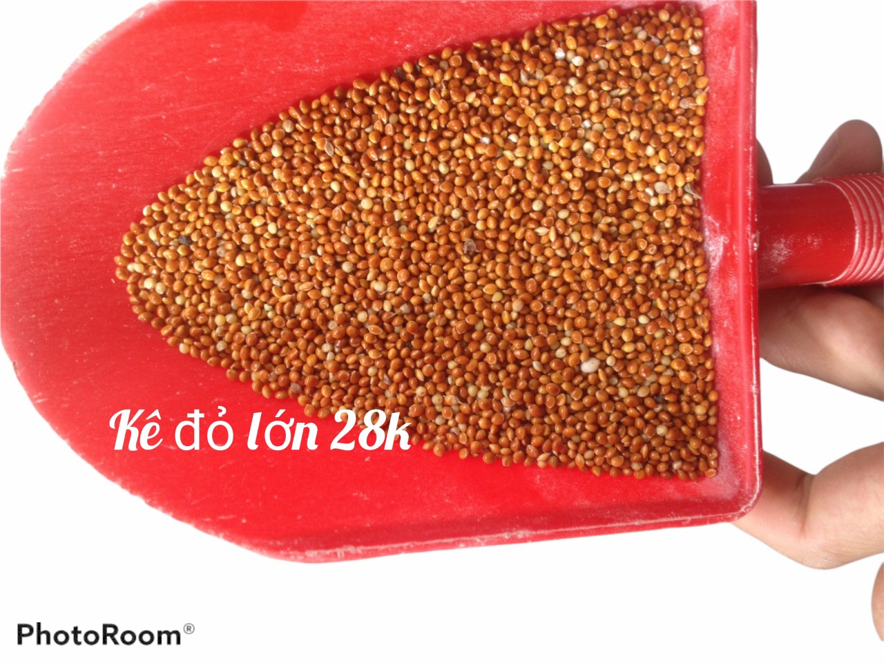 hạt kê 500g cho cu gáy yến phụng hamto