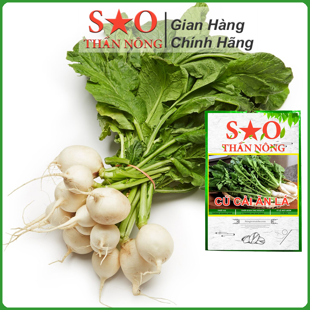 Hạt giống củ cải ăn lá nhanh thu hoạch có thể nấu xào như rau hoặc muối dưa chua Thương hiệu Hạt giống rau củ Sao Thần Nông