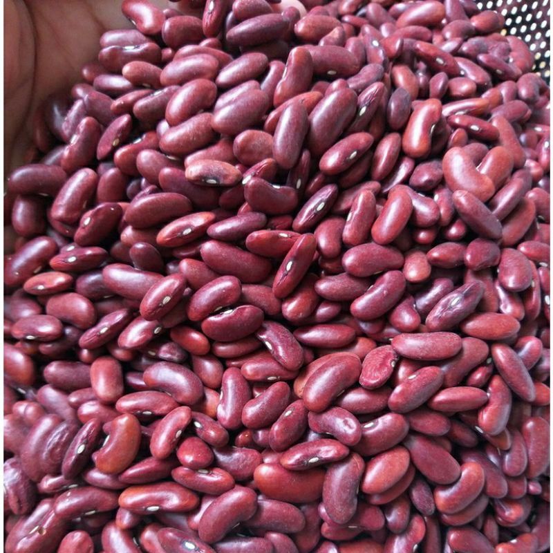 Hạt đậu đỏ hạt to1kg.
