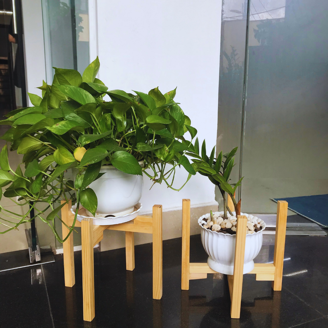 Đôn cây có sơn chống mối mọt, kệ gỗ đựng cây, đôn gỗ thông cao cấp