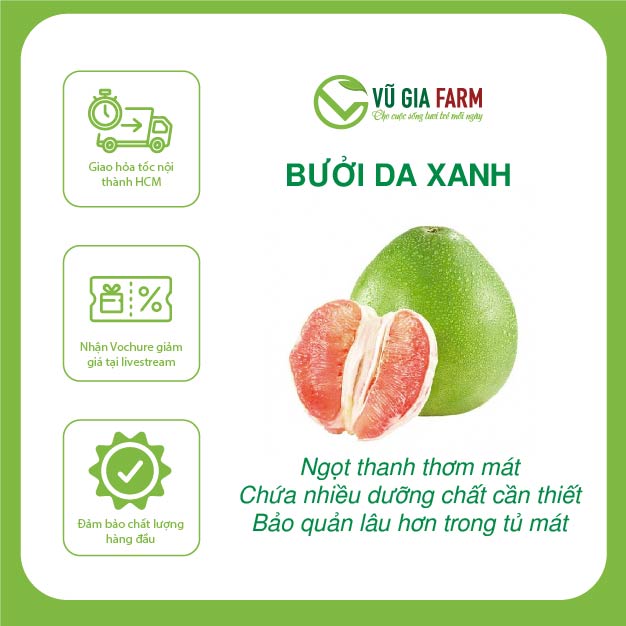 [TOÀN QUỐC] Bưởi lão da xanh không cành - bưởi ăn ngon, ngọt mọng nước có hậu chua bắt vị