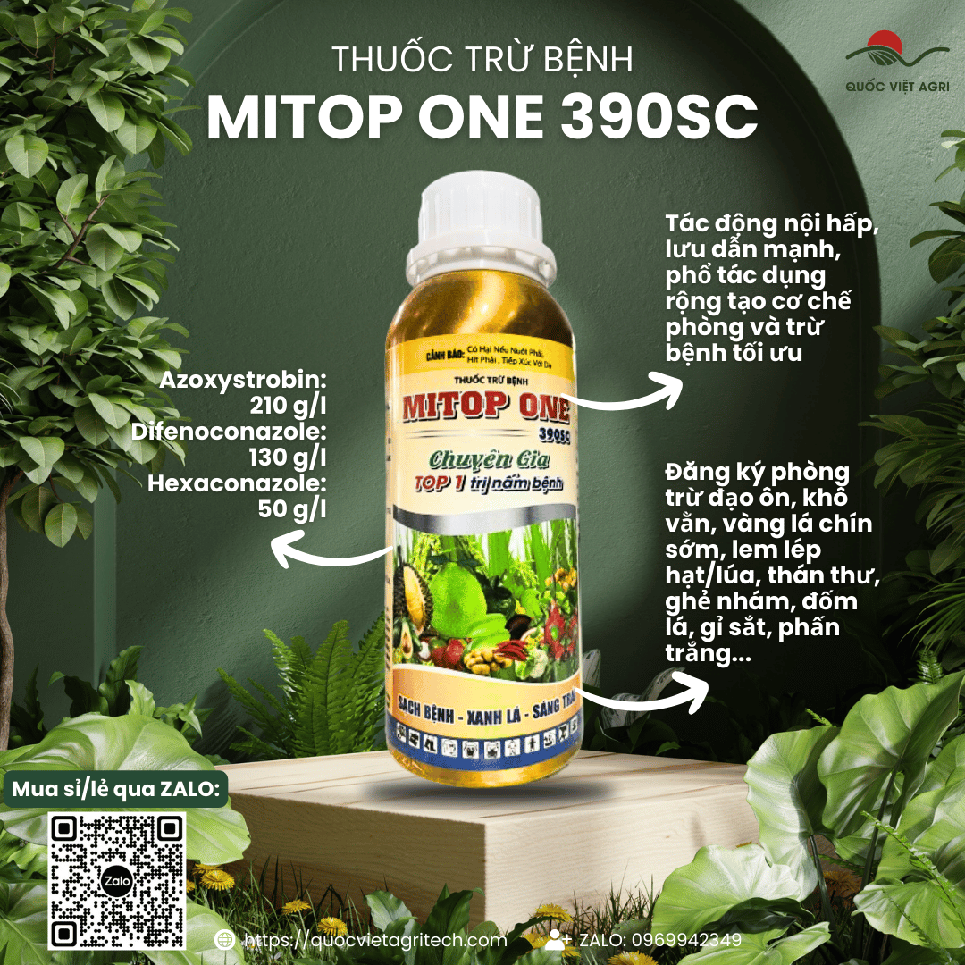 Thuốc trừ bệnh - mitop one 390sc - sạch bệnh, xanh lá, sáng trái - 240ml