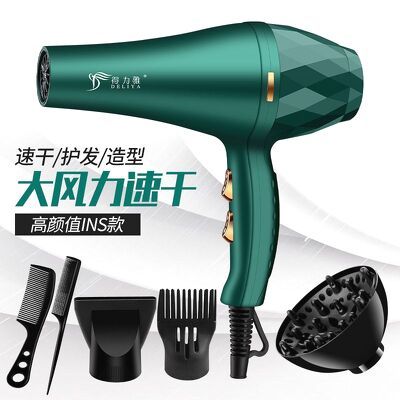 Máy sấy tóc deliya công suất lớn tạo kiểu 2 chiều nóng lạnh cho du lịch và salon tóc cao cấp