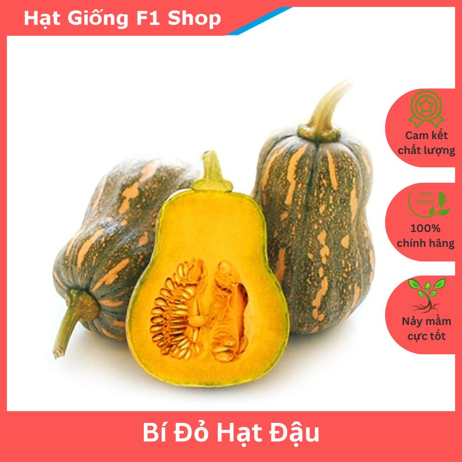 Hạt Giống Bí Đỏ Hạt Đậu (Bí Đỏ Hồ Lô) Lai F1