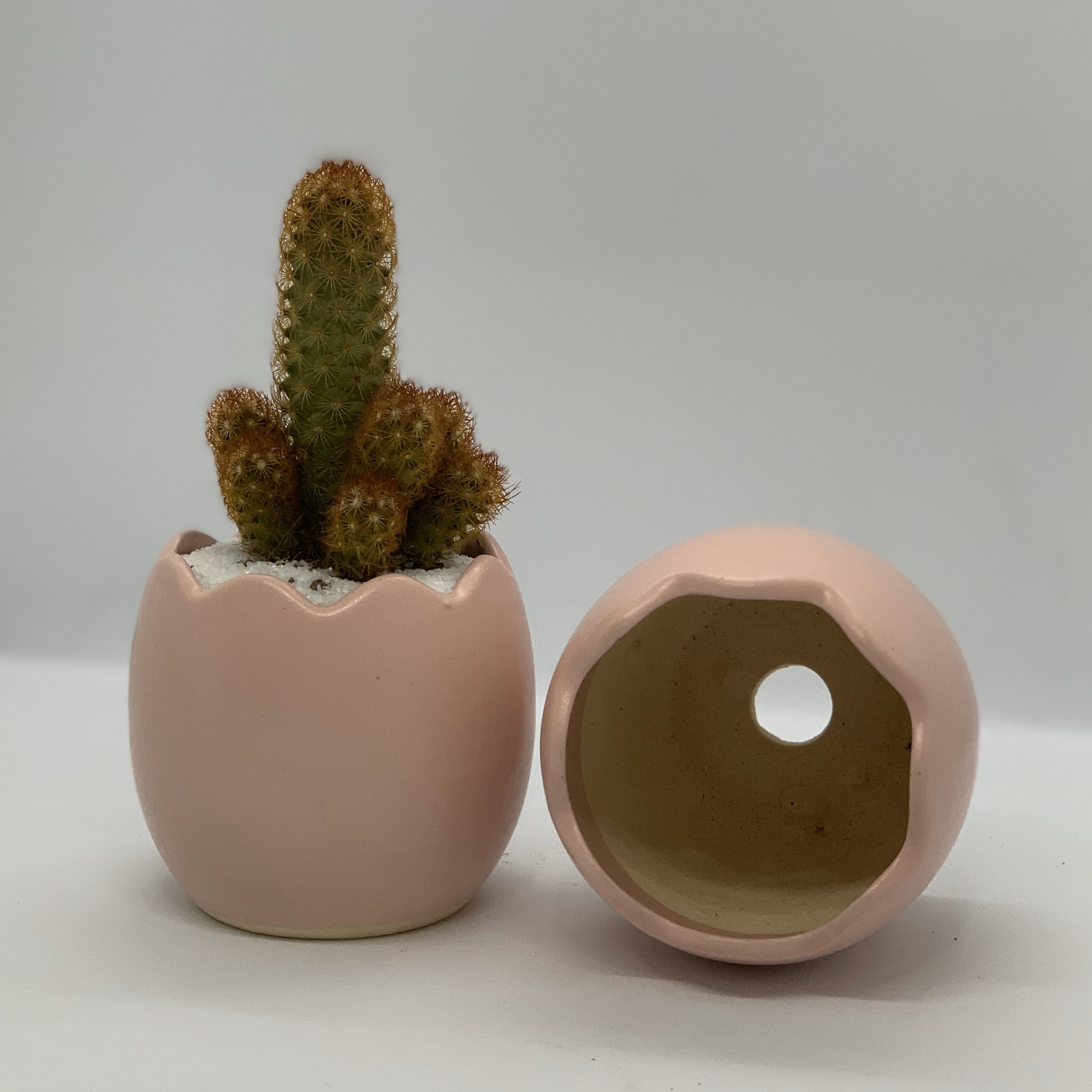 Chậu Trồng Cây Xương Rồng - 7x7x8 cm - Dáng Quả Trứng - Mầu Hồng - Chậu Sứ Trồng Cây Sen Đá, Chậu Gốm Sứ Bát Tràng, Chậu Trồng Cây Mini