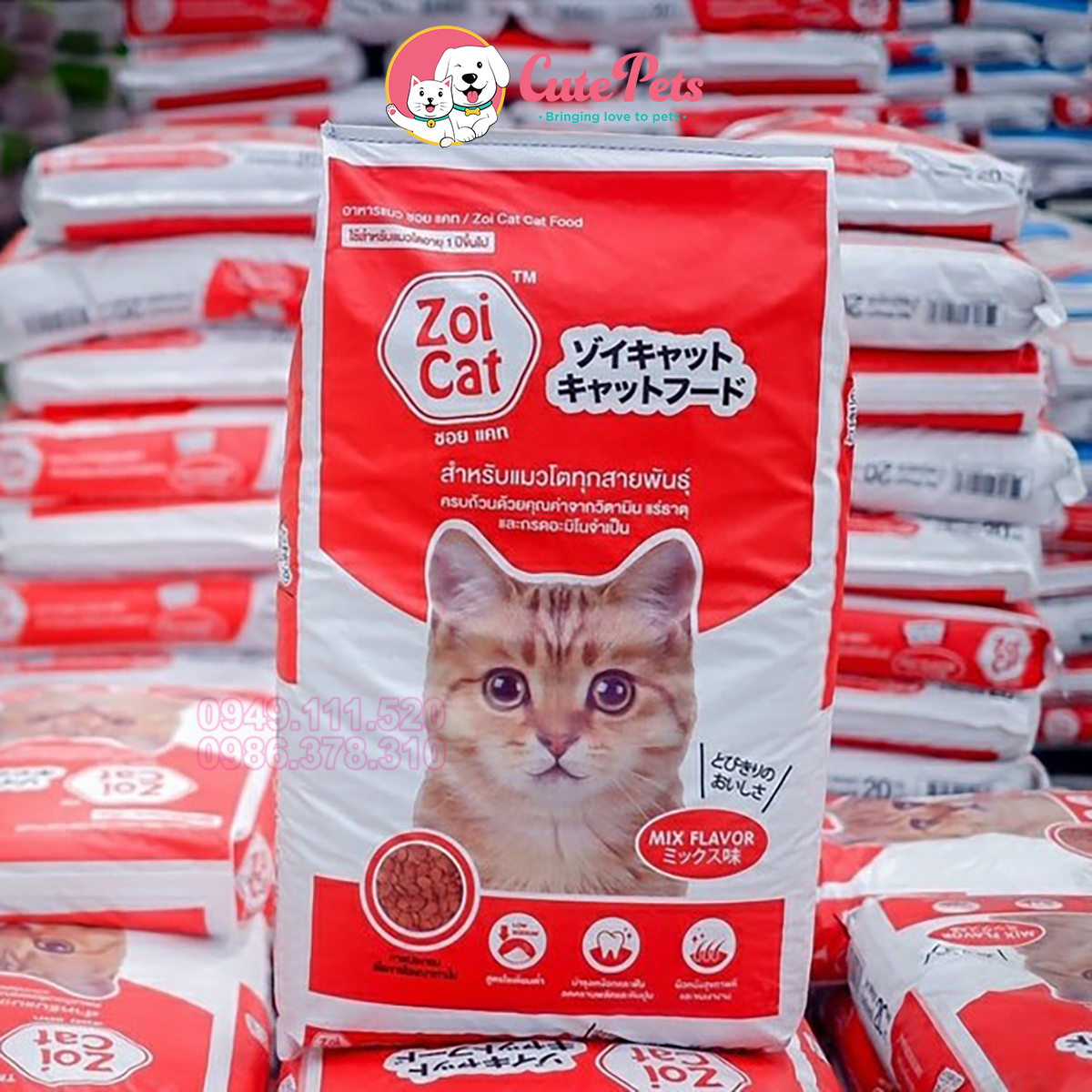 Hạt mèo Zoi Cat cho mèo trưởng thành Tải 20kg - Cutepets