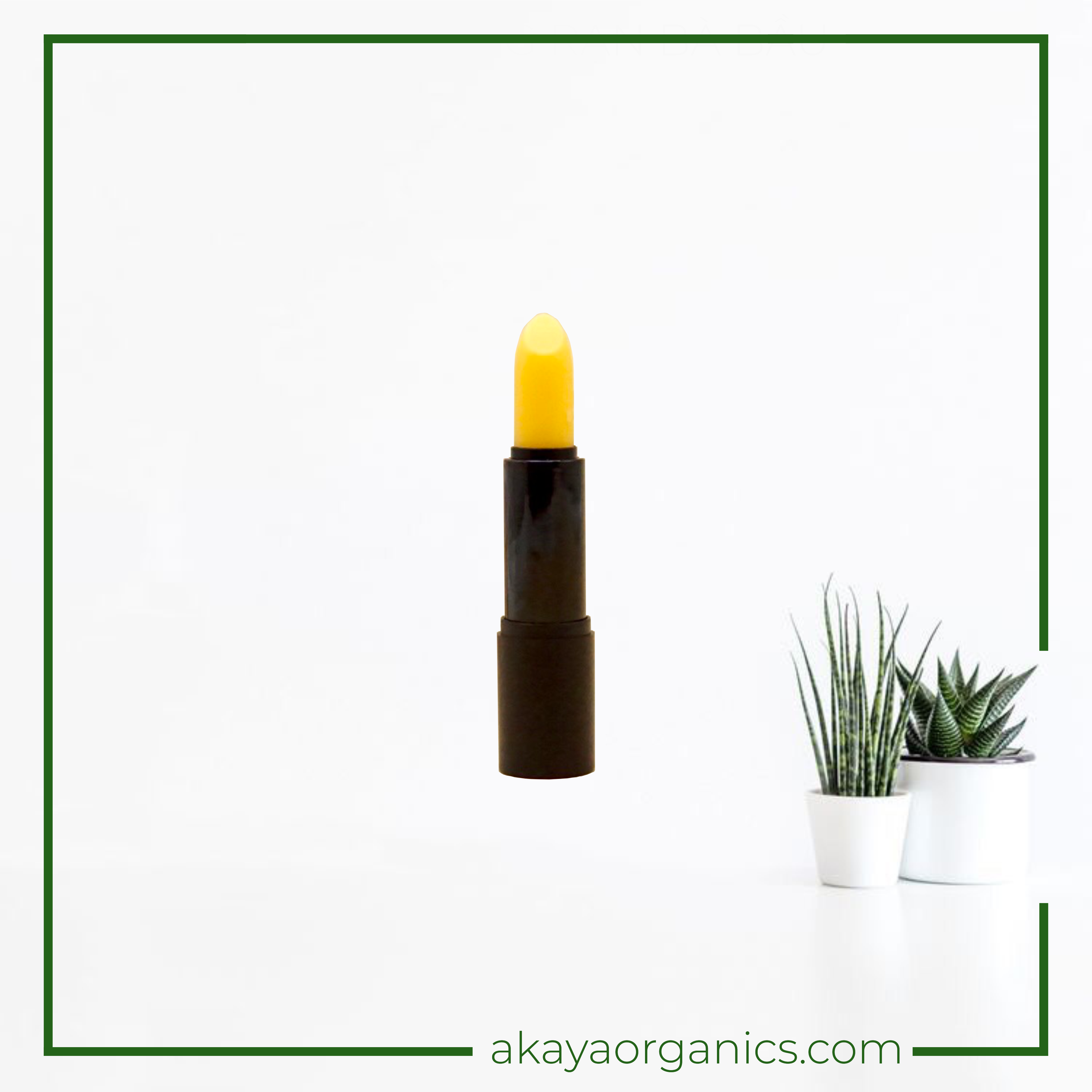 SON GẤC DƯỠNG MÔI AKAYA