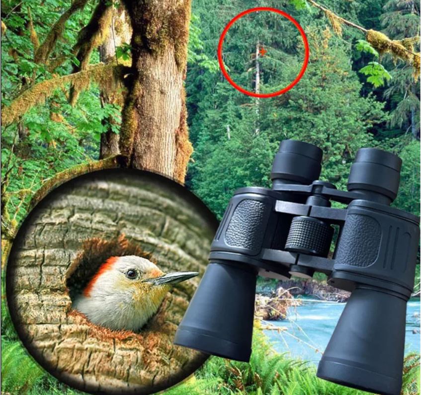 ( HÀNG NHẬP)Máy ép cam,Máy Vắt Cam,chất liệu bền bỉ. Máy ép nước cam bằng tay inox mạ croom cao cấp. Bảo hành 12T uy tín