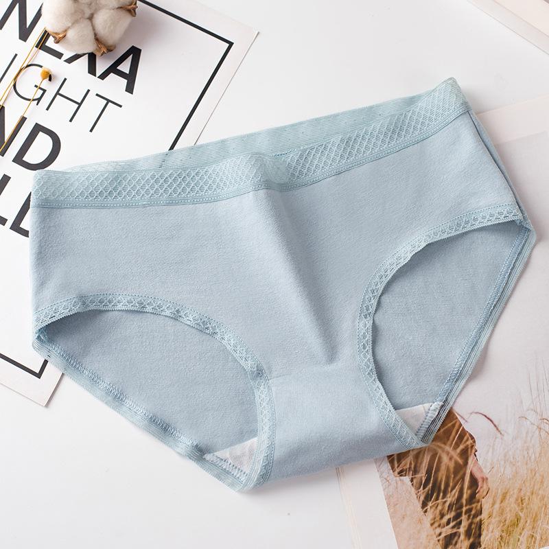 Quần lót nữ Cotton quần chíp nữ thời trang QL 8135