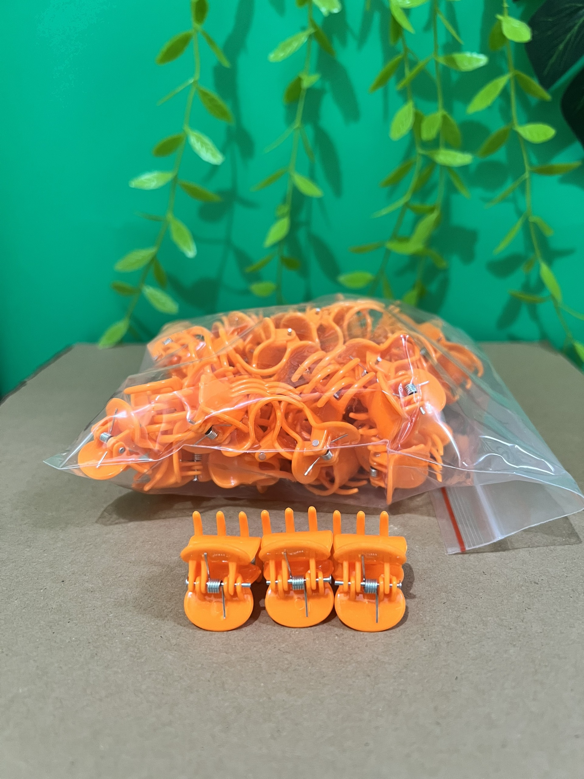 100g Kẹp bướm đại kẹp hoa lan hồ điệp, kẹp trồng lan