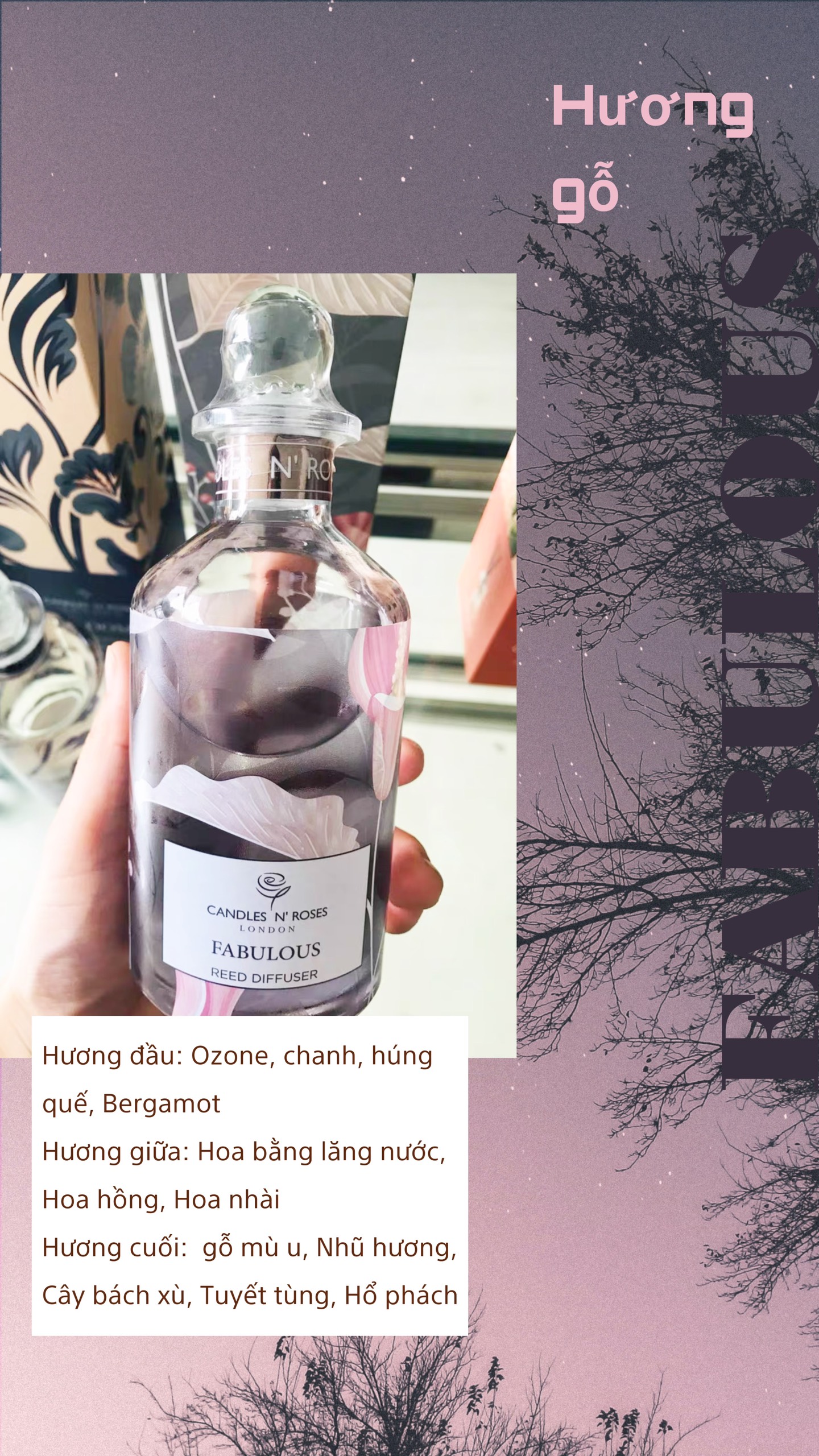 Tinh dầu tỏa hương dạng que Reed Diffuser