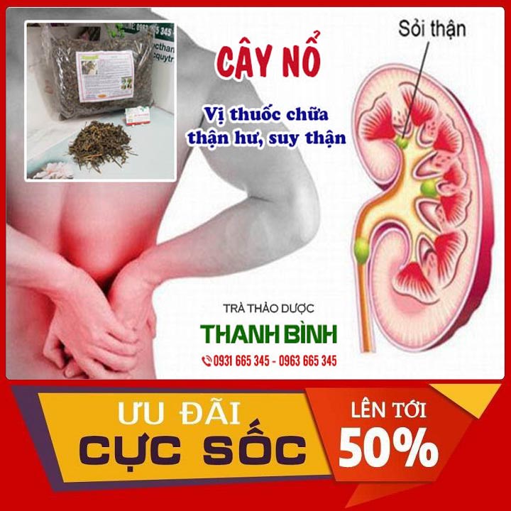 Cây nổ 1kg khô hàng mới 100% - thảo dược thanh bình