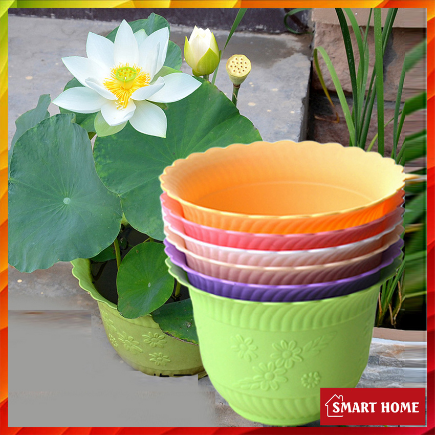 Chậu Nhựa Tròn Trồng Hoa Lan, Cây Kiểng - Chậu Nhựa , Đẹp, Nhẹ, Chắc Chắn, Có Hoa Văn