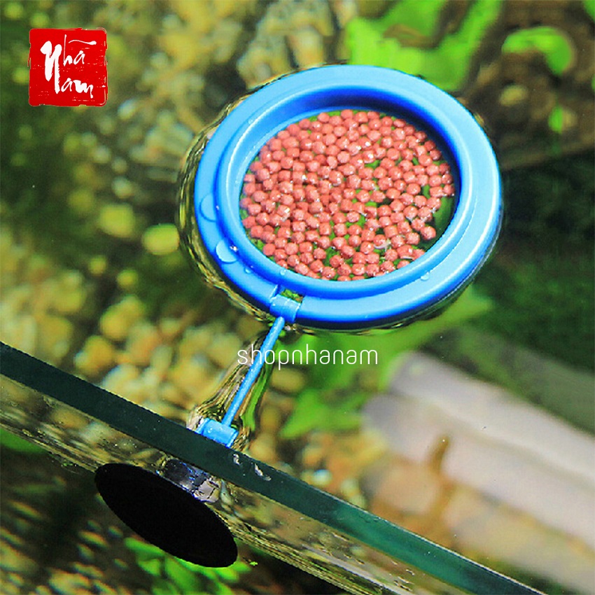 Vòng nổi chứa thức ăn cho cá, vợt cho cá ăn, phụ kiện bể cá - Phong Thủy Nhã Nam