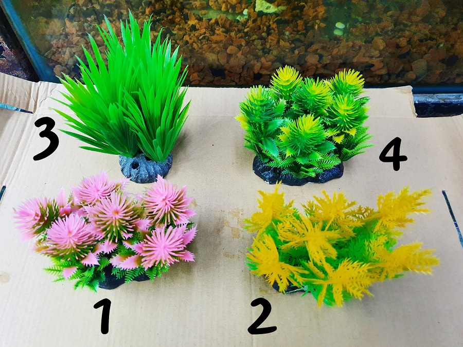 "hoàn tiền đến 10%" rong trang trí hồ cá non bộ cao 10cm