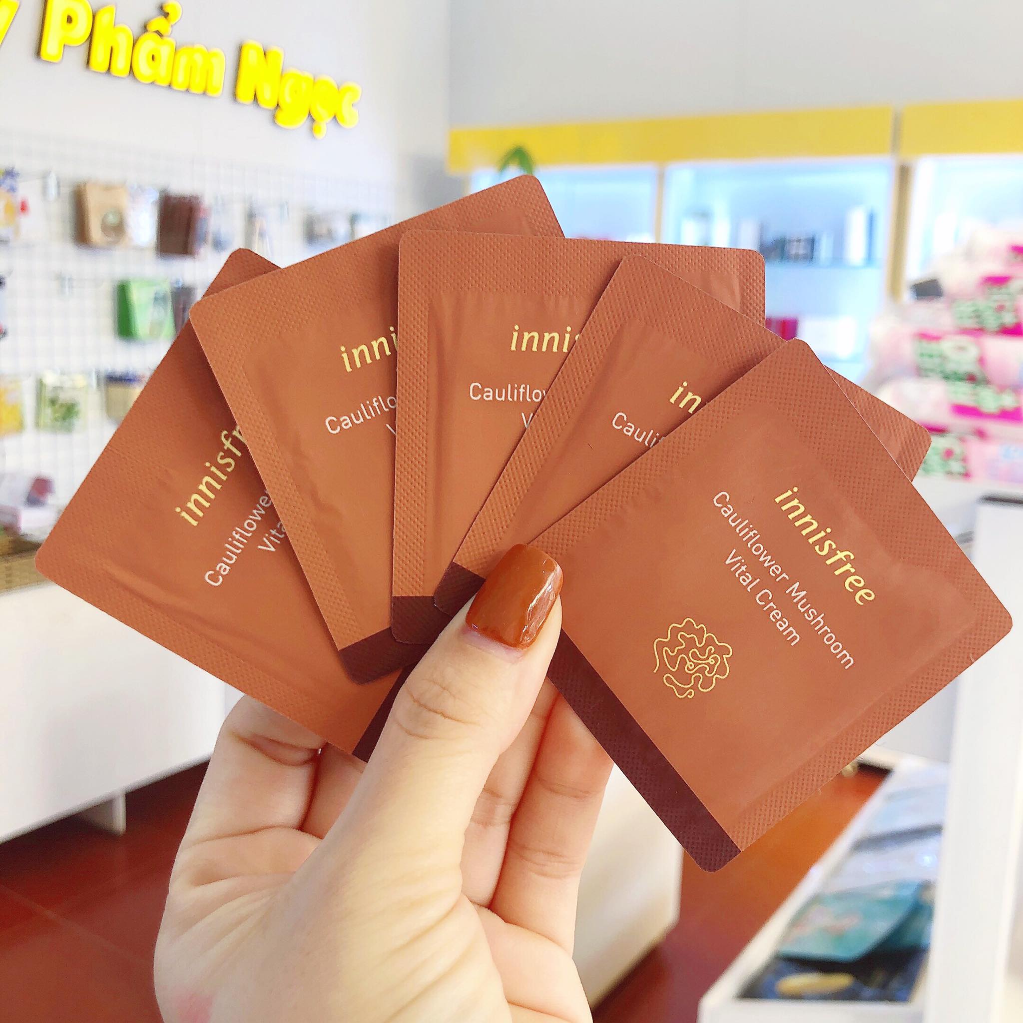 Sample Kem Dưỡng Chống Lão Hóa Chiết Xuất Nấm Hoa Quý Hiếm Innisfree Cauliflower Mushroom Vital Cream