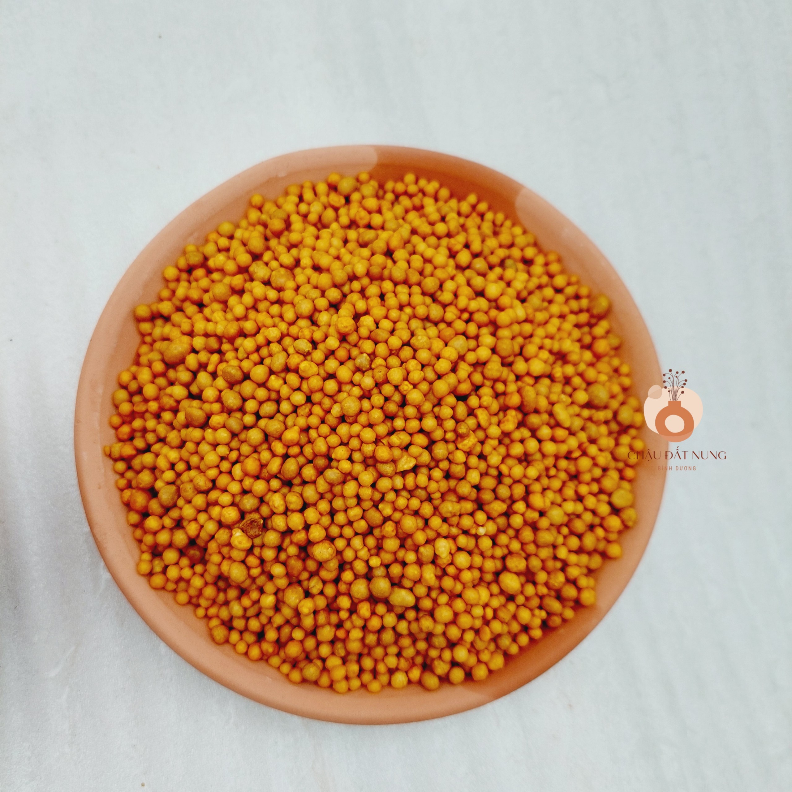Phân tan chậm VÀNG nhập khẩu CAO CẤP OSMOCOTE -cho sen đá