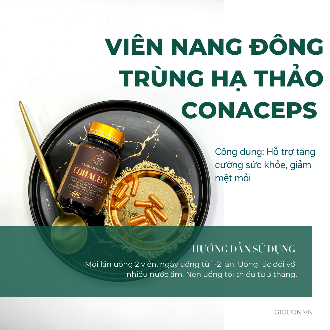 Viên nang Đông trùng hạ thảo Conaceps hộp 30 viên