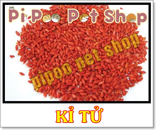 Kỉ tử - Thức ăn dặm cho Hamster và thú nhỏ