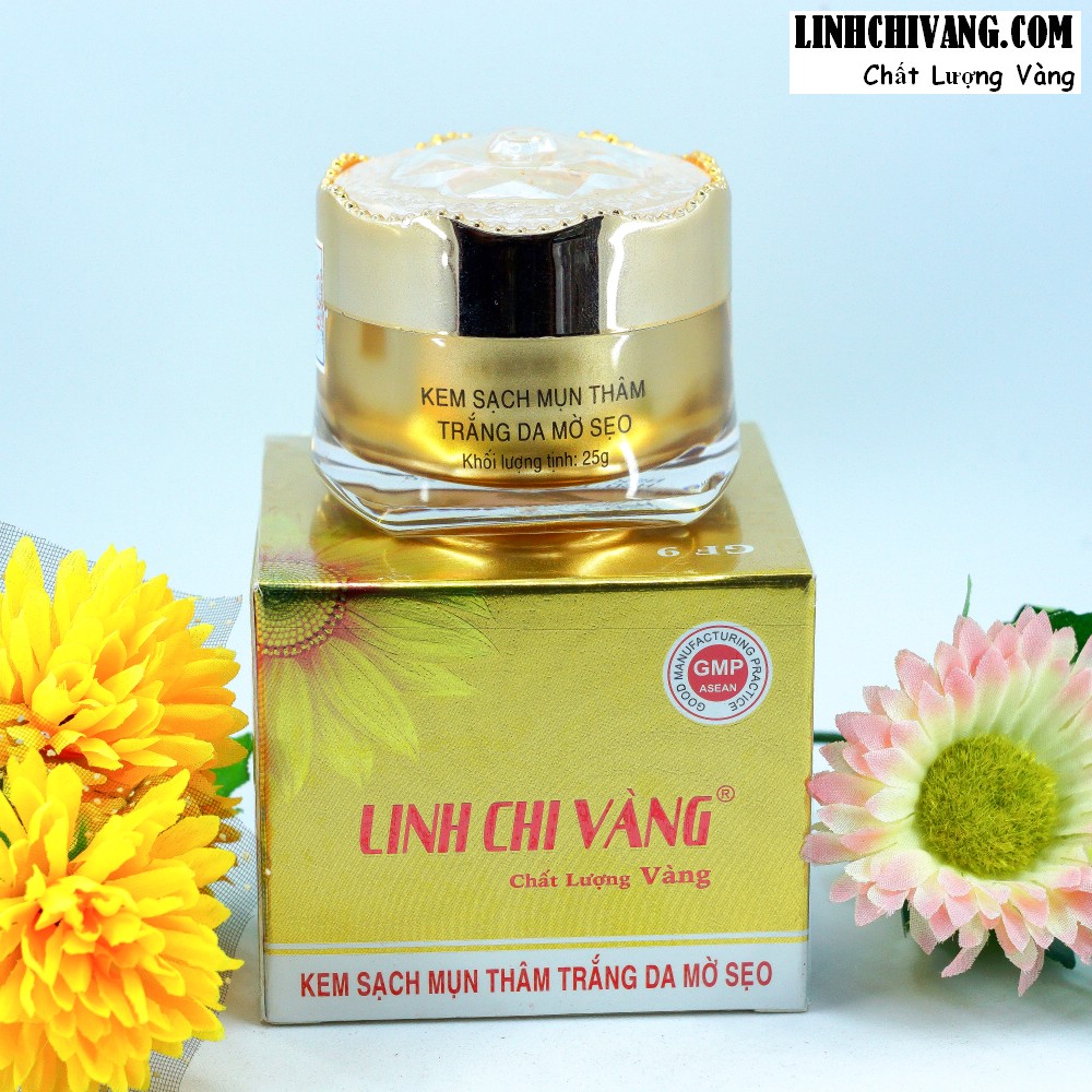 Kem sạch mụn thâm trắng da mờ sẹo linh chi vàng 25g