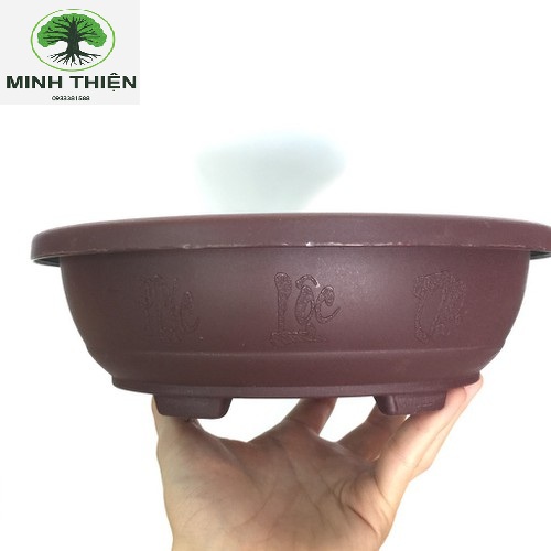 Chậu Nhựa Bonsai Trồng Cây Cảnh (Màu Ngẫu Nhiên) 25L x 20W x 0.8Hcm
