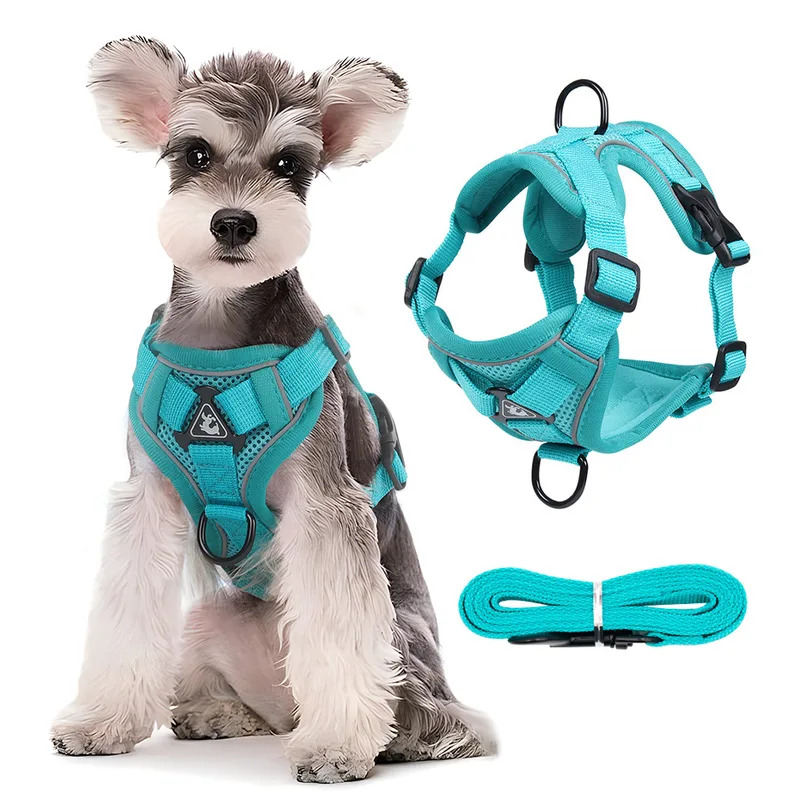 Bộ dây xích cho chó, dây đeo ngực điều chỉnh cho chó nhỏ vừa, mèo, áo vest phản quang cho chó con, chó Pháp, chó York