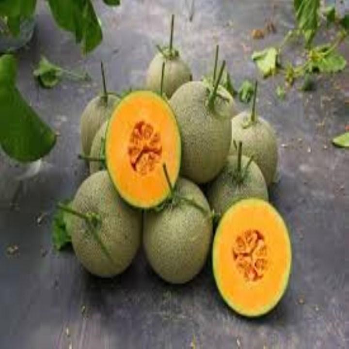 HG96- Hạt giống dưa lưới xanh 10 hạt