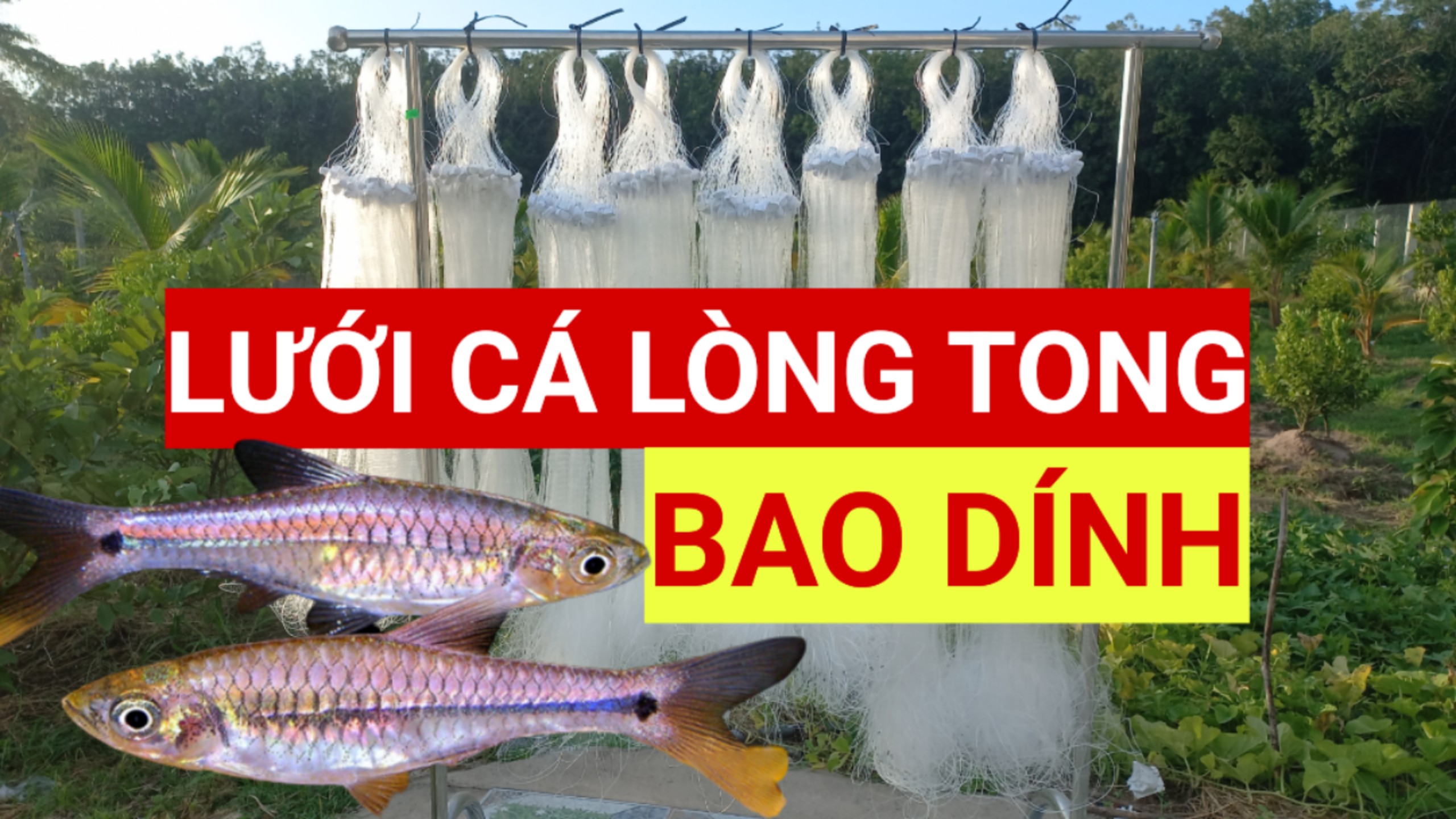 Lưới cá lòng tong thái lan, siêu dính lỗ 1p, 1p2, 1p5, 2p dài 40m