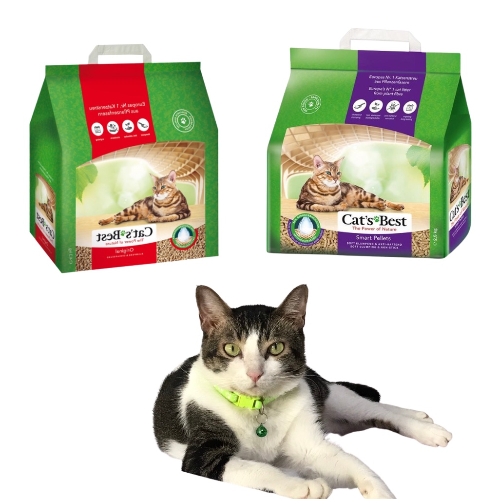 Cát vệ sinh cho mèo Cát gỗ Cat's Best thân thiện với môi trường các loại g nghệ khử mùi hôi toàn diện