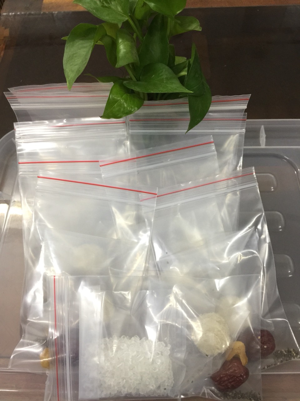 Set yến sào nhà nuôi mini nhỏ 1 lần chưng combo đường phèn + hạt chia+ táo đỏ+ long nhãn