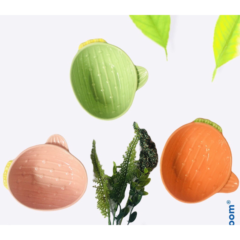 Chén sứ,bát ăn dặm xương rồng cho bé