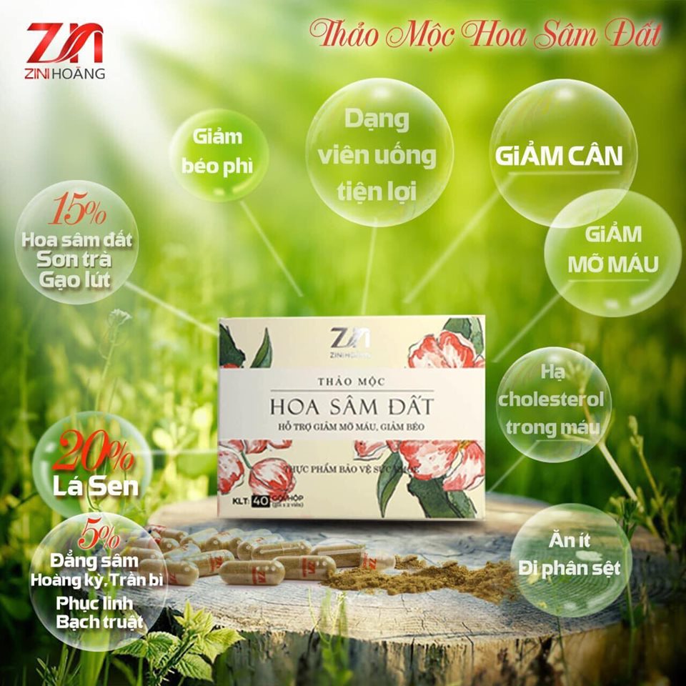 Trà hoa sâm đất - liệu trình 1 hộp 20 ngày