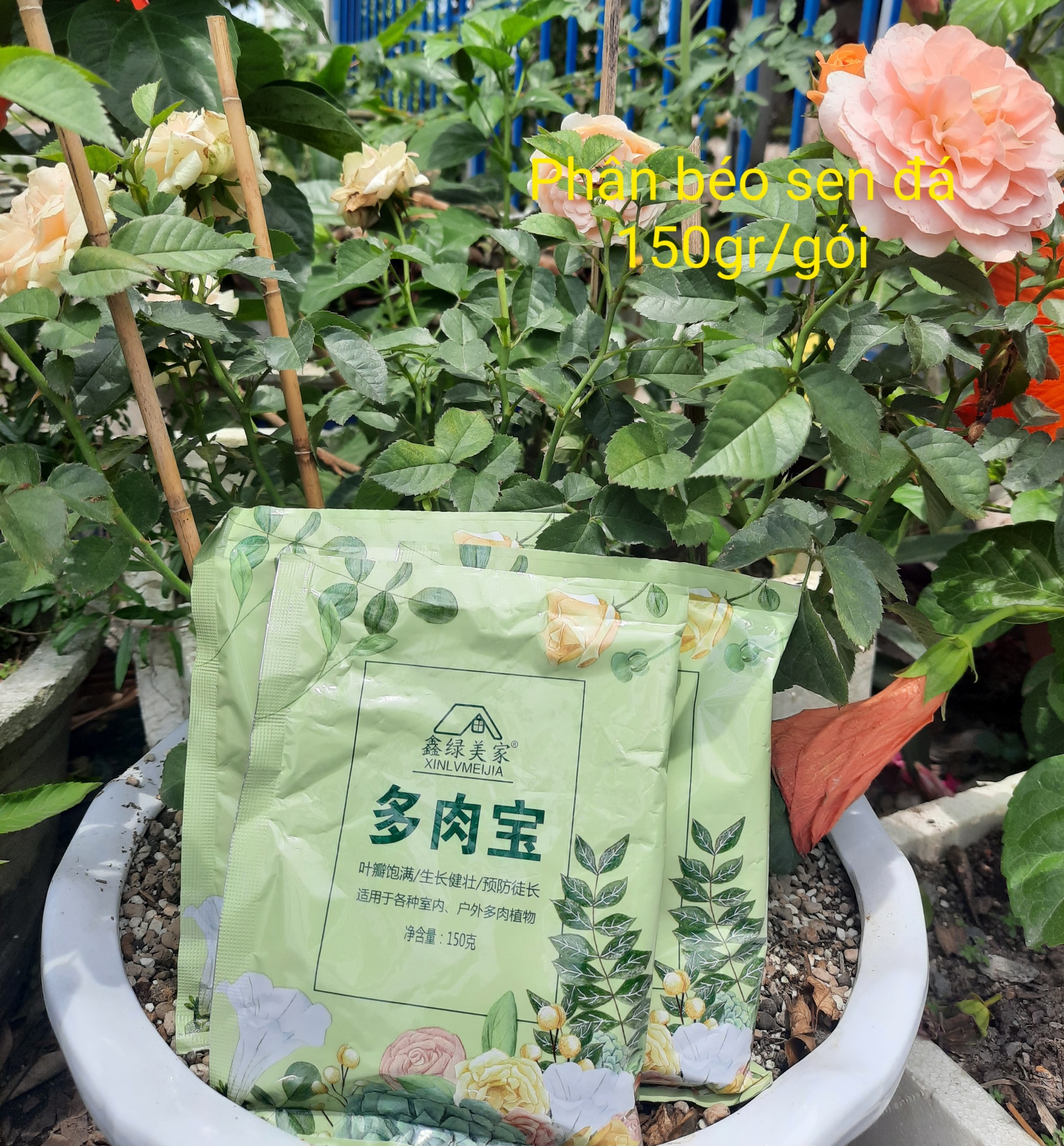 Mua 5 gói tặng 1 gói -Phân tan chậm dành cho sen đá căng mọng. Gói 150gr