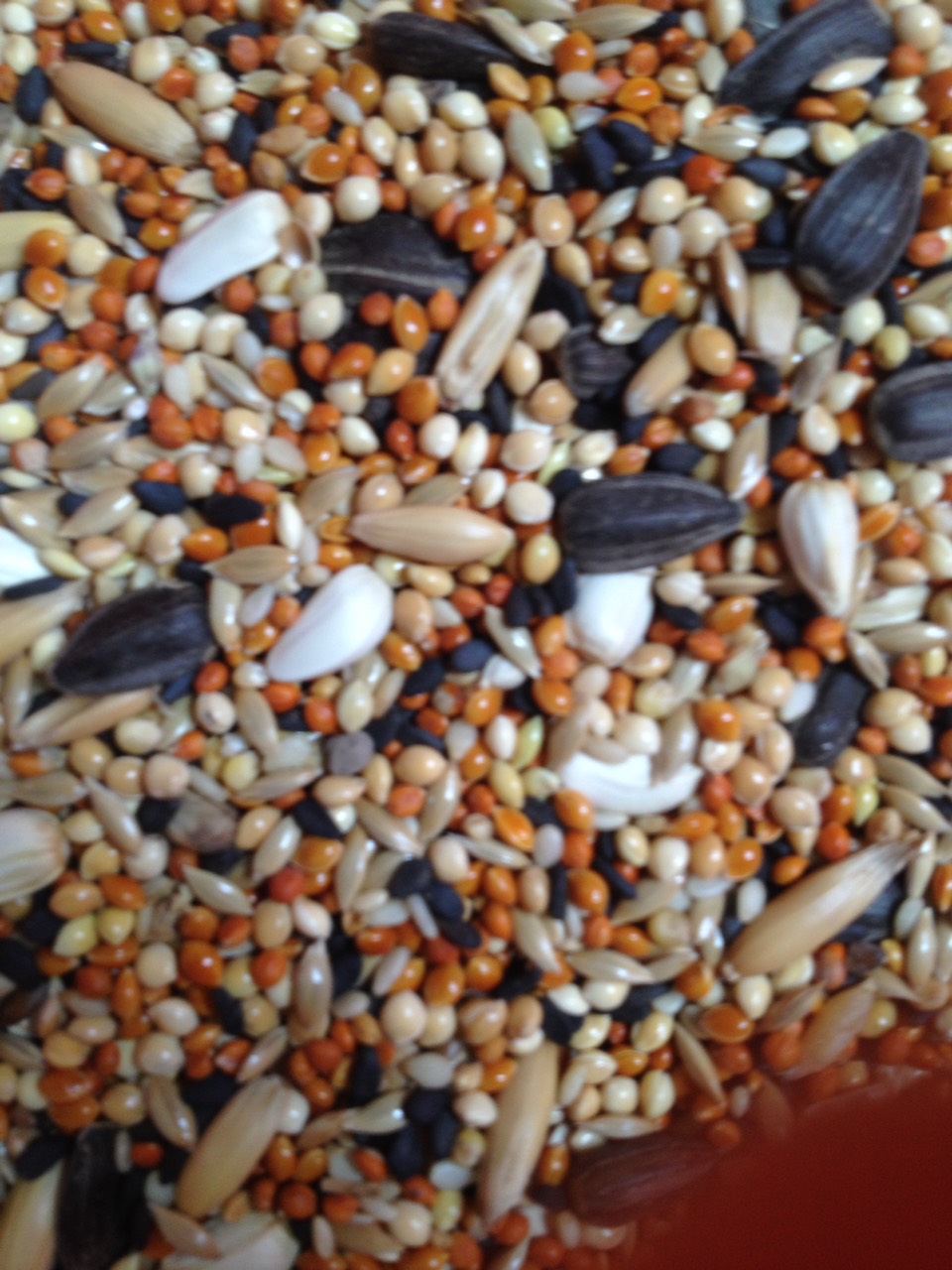 hạt tổng hợp ngũ cốc dành cho chim yến phụng