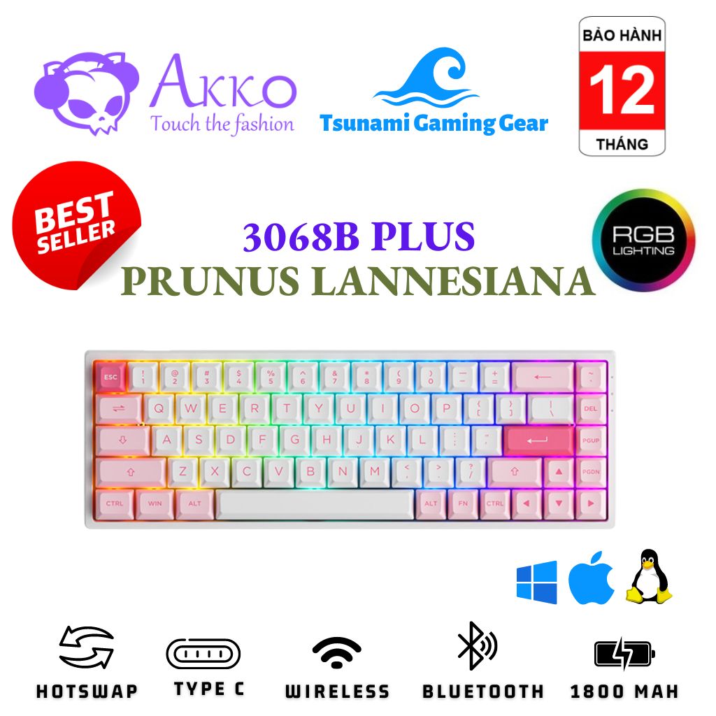 Phím cơ không dây Akko 3068B Multi-modes Prunus Lannesiana I Silent RGB/ Hotswap/ Bluetooth 5.0/ Wireless 2.4 Ghz/ Type C