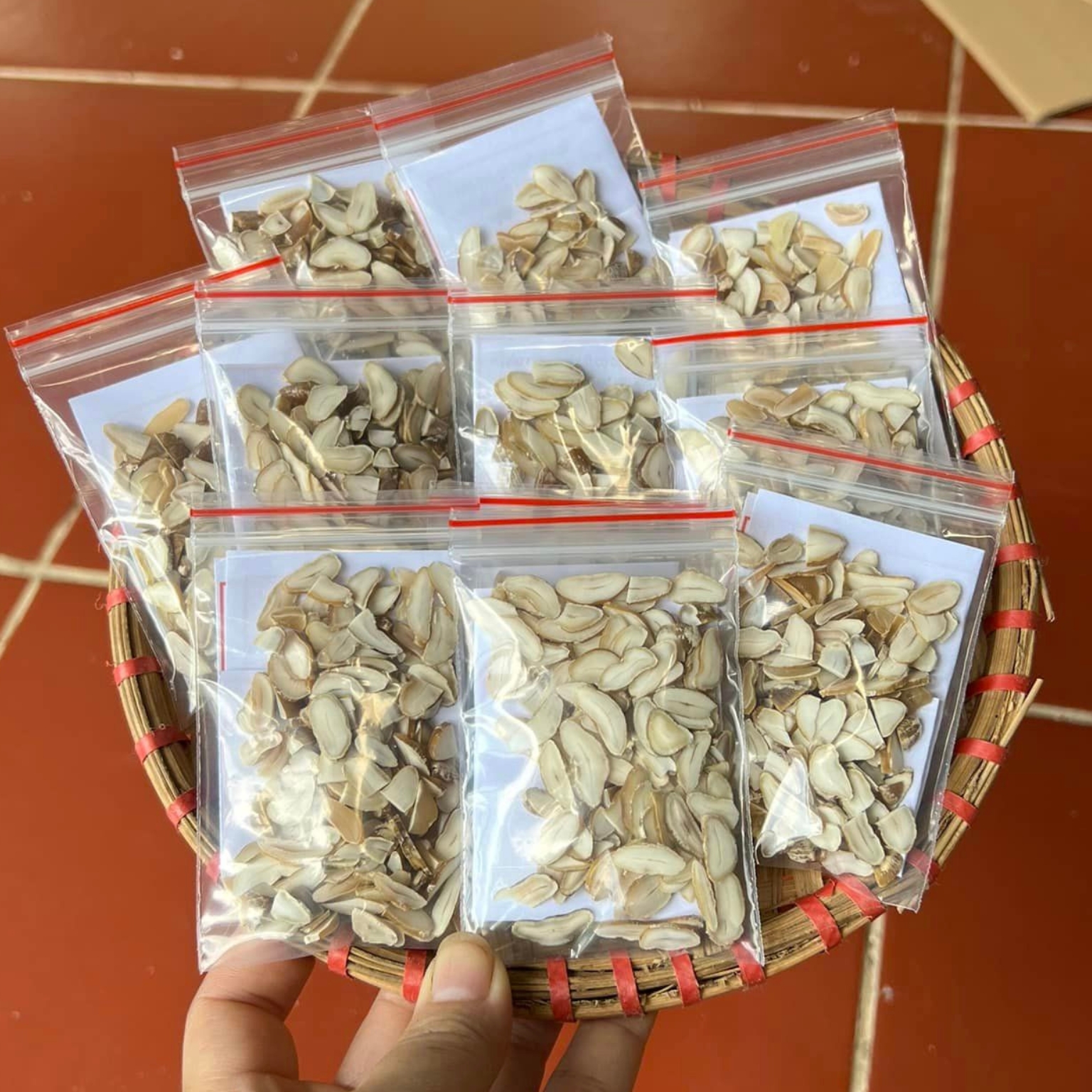 Hạt sang, hạt sành trắng cạo vỏ, cắt sẵn. Giá sỉ trực tiếp hạt sang già lõi trắng rừng Tây Bắc