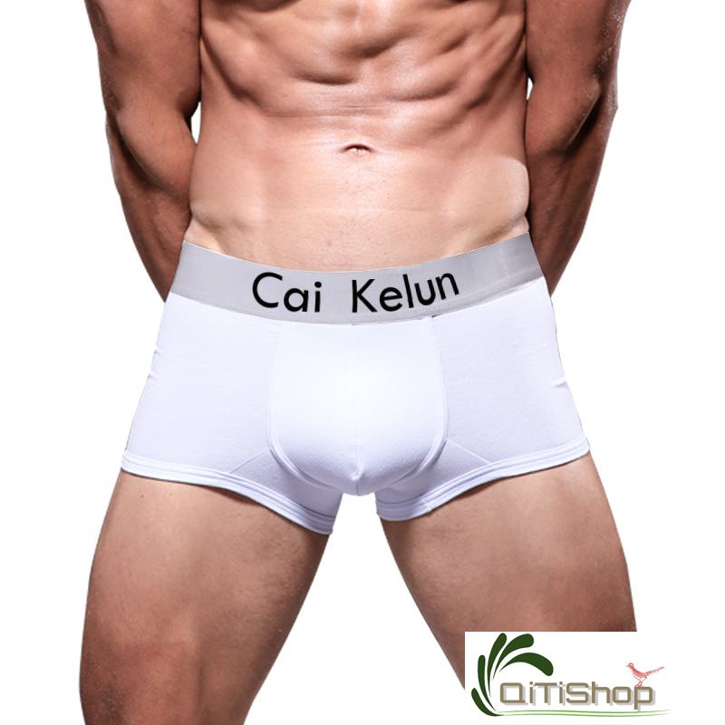 [HCM]Quần Lót Boxer Nam Thoáng Khí - Sịp Đùi Nam Cao Cấp (Trơn 04) Bigsize Nam