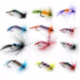 Mồi câu cá - Bộ 12 Côn trùng bay Lưỡi thép Carbon KT002 (*Kim Thủy)