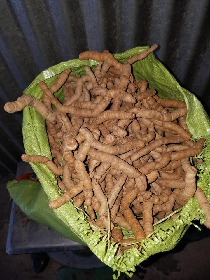 [HCM]Ba kích tím 1kg