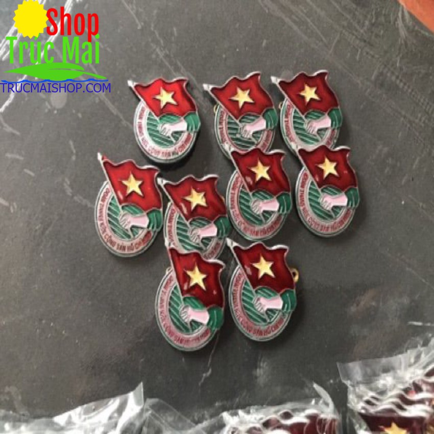 Huy hiệu đoàn việt nam