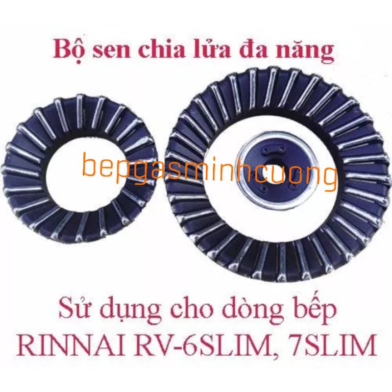 Sen chia lửa bếp gas rinnai 6,7slim.