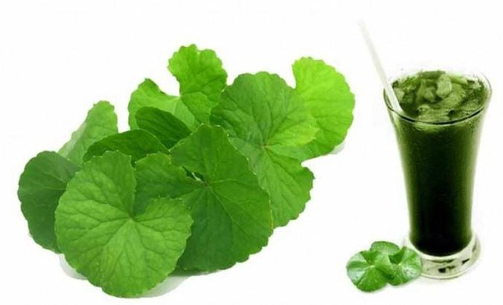 Bột rau má sấy lạnh - nguyên chất, lọc bã, thơm ngon