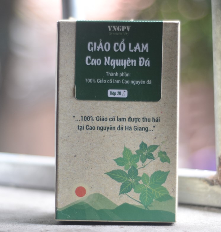 [HCM]Trà giảo cổ lam túi lọc CAO NGUYÊN ĐÁ giúp cải thiện mỡ máu cao huyết áp cao tăng cường hệ miễn dịch - Hộp 20 gói [100% NATURAL]
