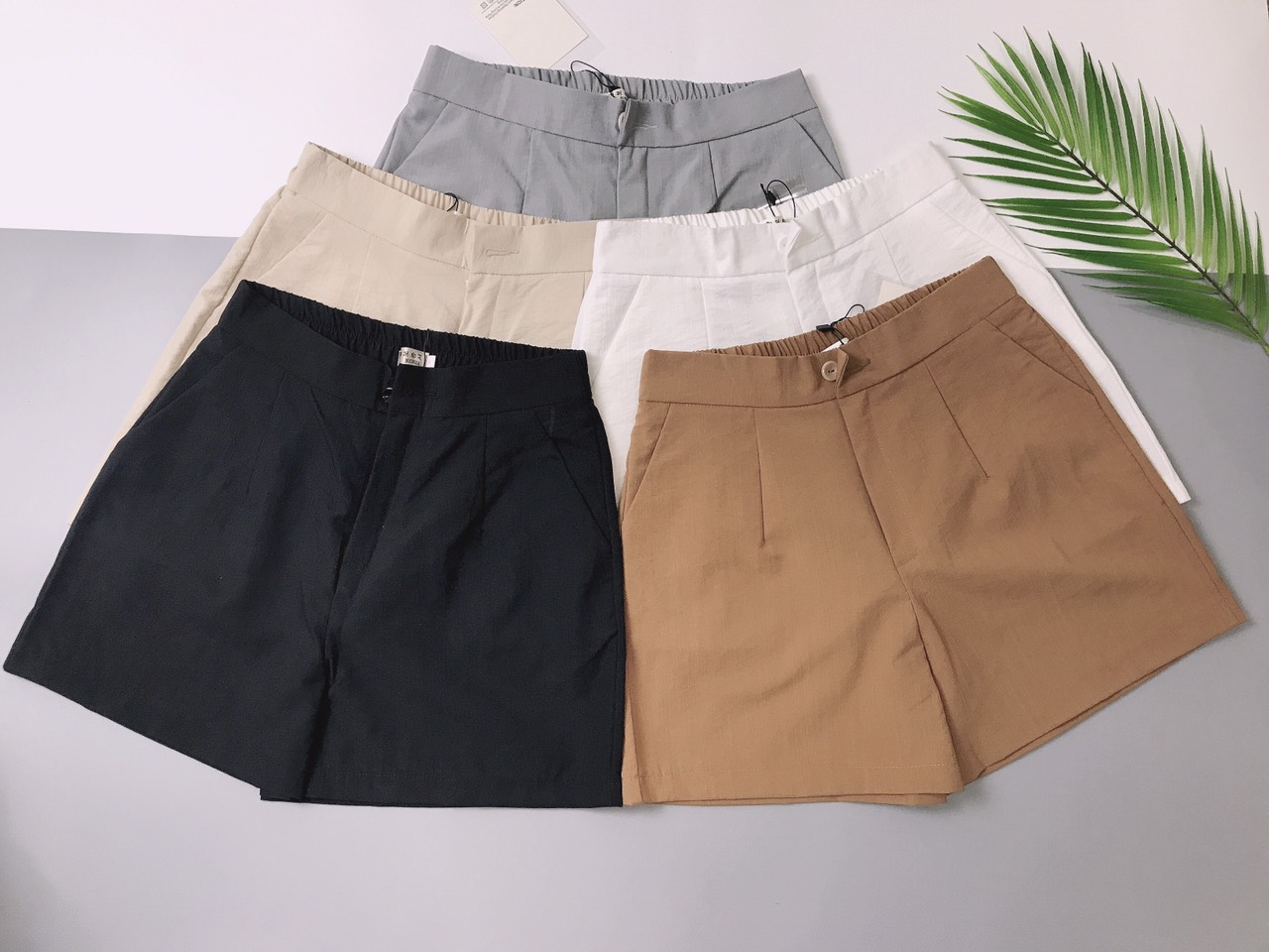 Quần đùi nữ Minhngoc cạp chun năng động vải co giãn tốt short thể thao kiểu trơn basic